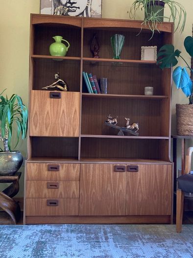 Mid century modern wall unit / storage display unit