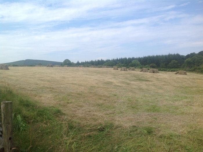 Small Square Hay Bales For Sale 3 euro each
