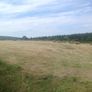 Small Square Hay Bales For Sale 3 euro each Image 5