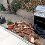 Free logs to take away today Image 2