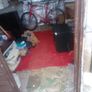 garden shed Image 5