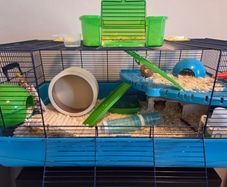 large Hamster Cage