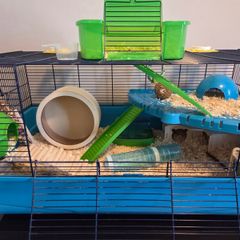 large Hamster Cage