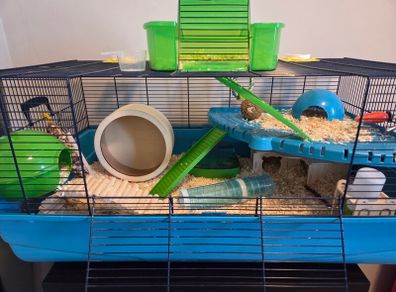 large Hamster Cage