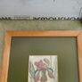 FRAMED DETAIL IRIS RAINBOW FANTASY penceled and coloered signed by artist . Image 2