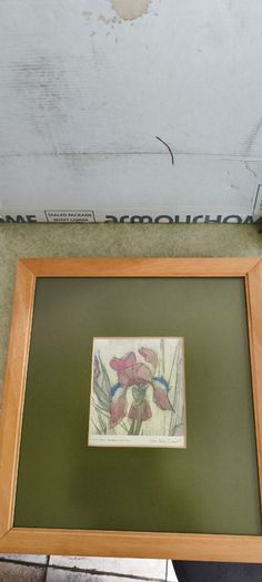 FRAMED DETAIL IRIS RAINBOW FANTASY penceled and coloered signed by artist .