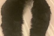 Black Fur Collar