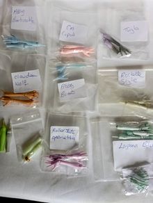 Monster high doll limbs