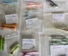 Monster high doll limbs