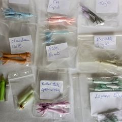 Monster high doll limbs