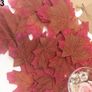 Maple Leaves Image 4