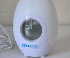 GroEgg Room Thermometer