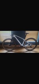 RockRider  Race 900