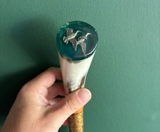 walking stick cane