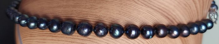 Cultured Tahitian Black Pearl Necklace & earrings