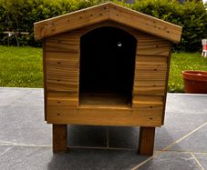 Cat box - outdoor kennel (may suit v small dog)