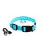 Dog Safety Pack Image 5