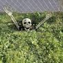 Halloween Decorations, Indoor and Outdoor,  From 15 euro Image 10