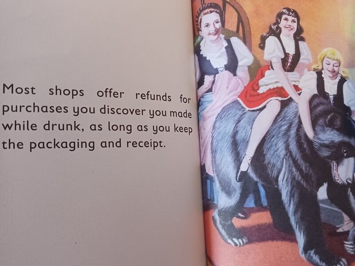The Ladybook of The Hangover