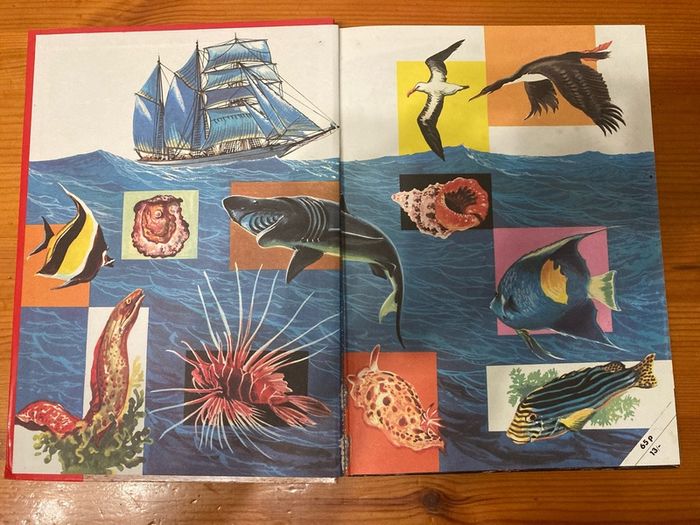 Comic: 'Barrier Reef' annual 1972