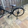 Trek FX3 Image 2