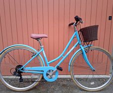 Martello Laies Bike