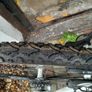 Hybrid bike Image 3