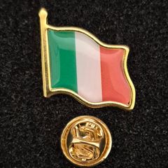 Irish tricolour flag,  pin back badge.