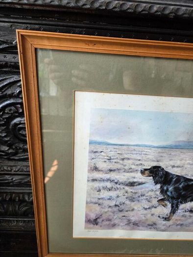 Limited edition print of Gordon Setter