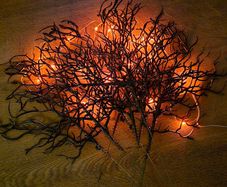 Spooky Halloween branches