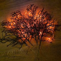 Spooky Halloween branches