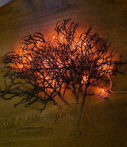 Spooky Halloween branches