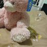 Pink bear Image 2