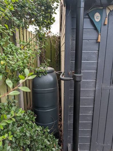 Pressure Treated Garden Shed