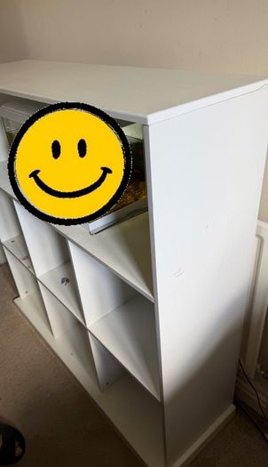 kallax shelves