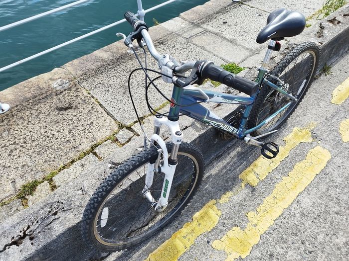 Mountain Bike (Step through)
