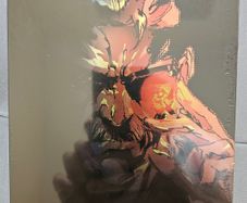 Metal Gear Solid Master Collection Vol 2 steelbook