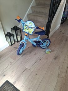 Bluey bike