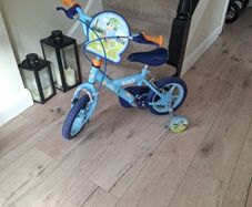 Bluey bike