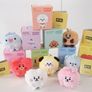BTS BT21 Baby Pong Pong Image 3