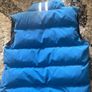 Canada Goose Image 2