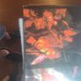 Vinyl.The Hypnotics. Image 2