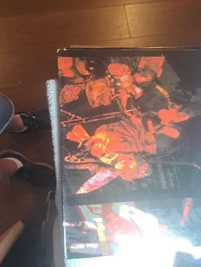 Vinyl.The Hypnotics.