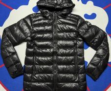 Canada goose black hybrid