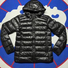 Canada goose black hybrid