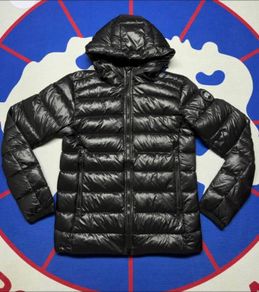 Canada goose black hybrid