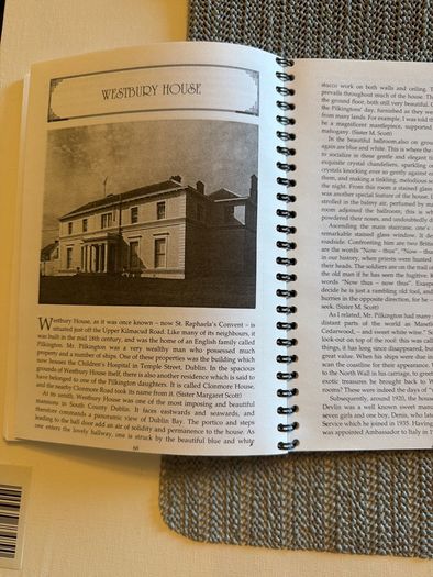 Bonnie Flanagan, photographs Larry Dalton / Stately Homes Around Stillorgan.1991