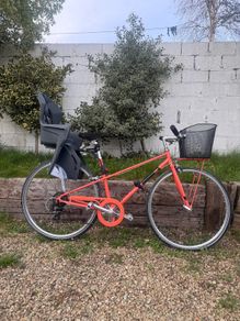 MBM 1897 Radonee Ladies Bike
