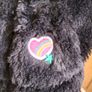 girl Disney gilet aged 3-4 yrs Image 4