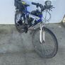 engine bike Image 2